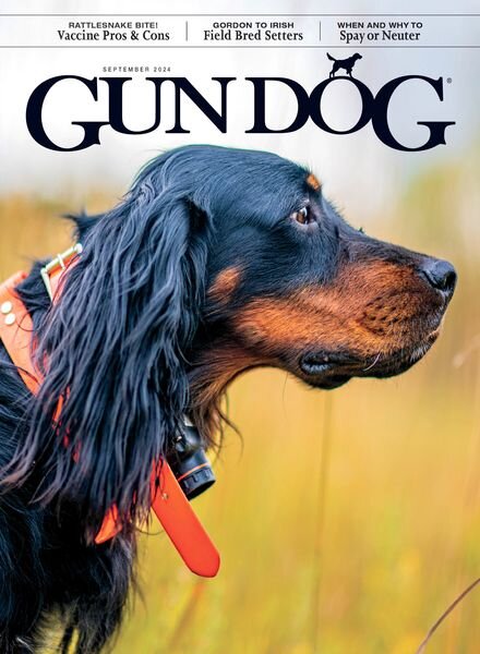 Gun Dog – September 2024 Cover