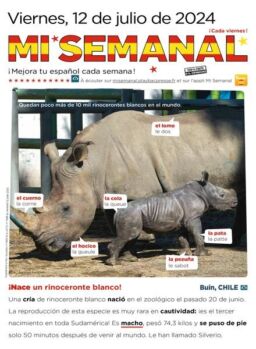 Mi Semanal – 12 Junio 2024