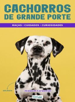 Minibooks EdiCase – 8 Julho 2024