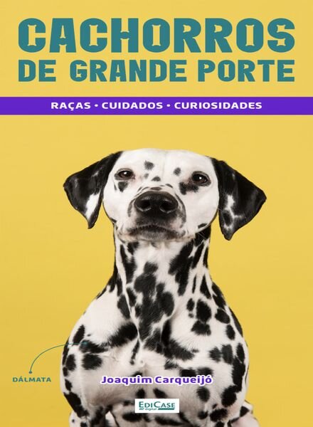 Minibooks EdiCase – 8 Julho 2024 Cover