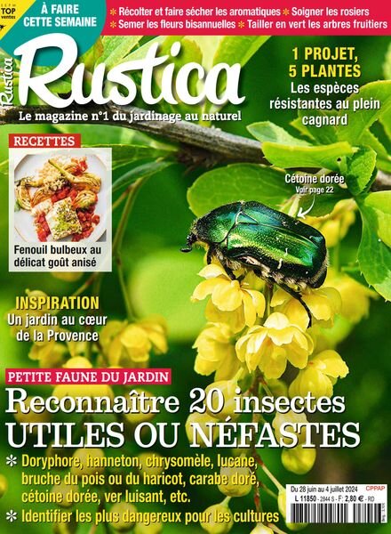 Rustica – 28 Juin 2024 Cover