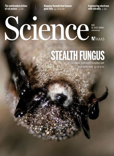 Science – 12 July 2024 Cover