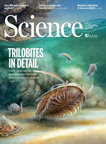 Science – 28 June 2024 Cover