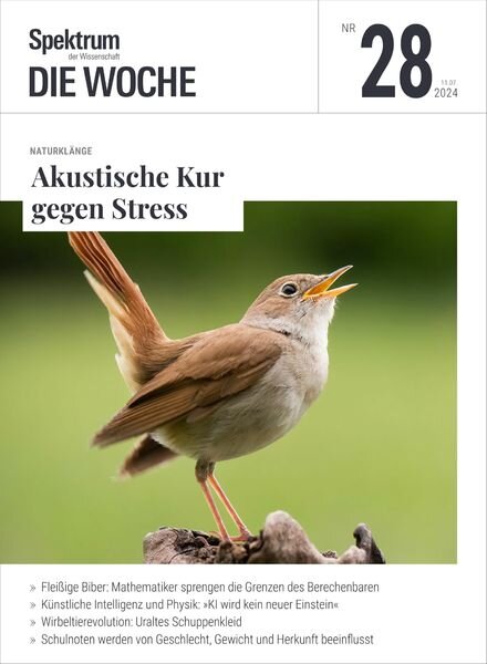 Spektrum Die Woche – 11 Juli 2024 Cover