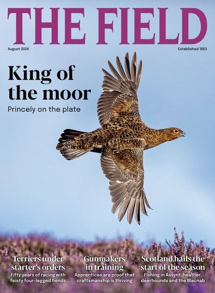 The Field – August 2024 Cover