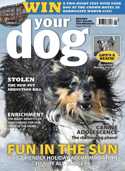 Your Dog – August 2024 Cover