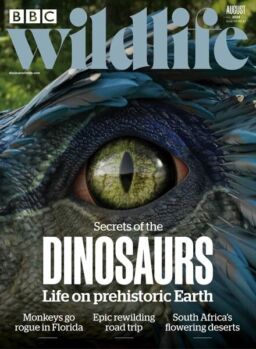 BBC Wildlife – August 2024