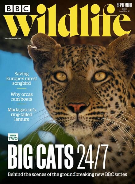 BBC Wildlife – September 2024 Cover