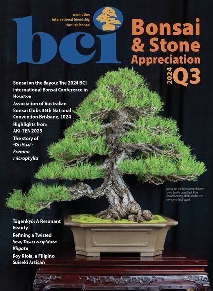 BCI Bonsai & Stone Appreciation Magazine – July-August-September 2024 Cover