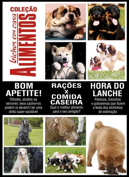 Bichos em Casa – 26 Julho 2024 Cover