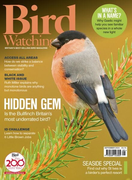 Bird Watching UK – September 2024 Cover