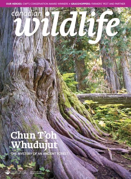 Canadian Wildlife – July-August 2024 Cover