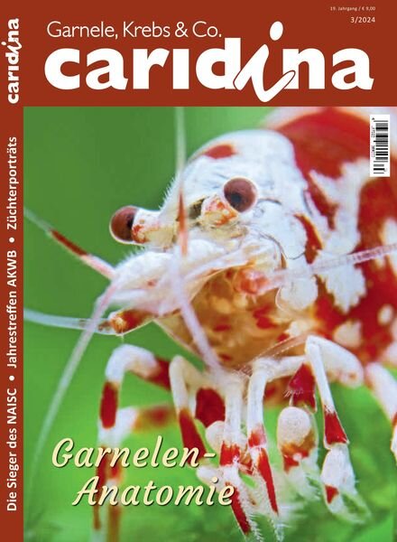 Caridina – 13 August 2024 Cover