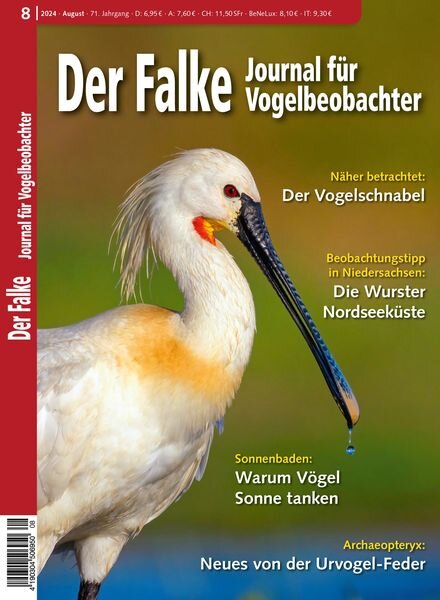Der Falke Journal fur Vogelbeobachter – August 2024 Cover