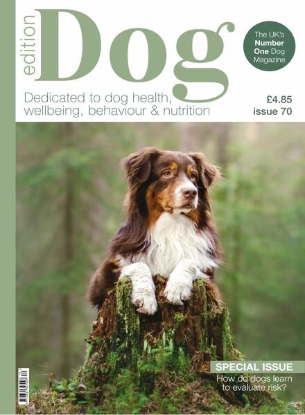 Edition Dog – Issue 70 2024 Cover