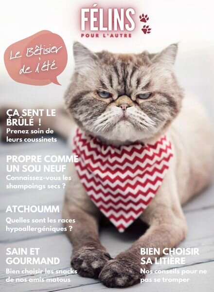 Felins pour l’autre – 21 Aout 2024 Cover
