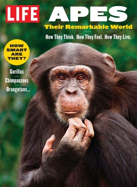 LIFE – Apes 2024 Cover