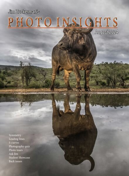 Photo Insights – August 2024 Cover