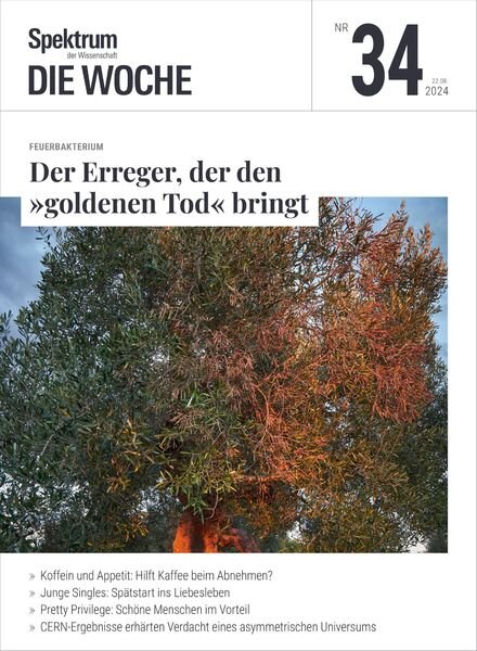 Spektrum Die Woche – 22 August 2024 Cover