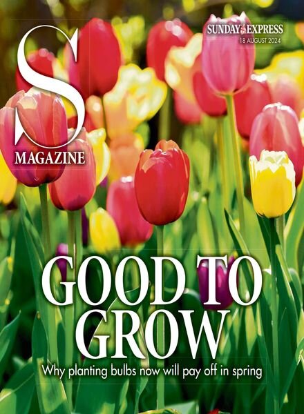 Sunday Express Sunday Magazine – 18 August 2024 Cover