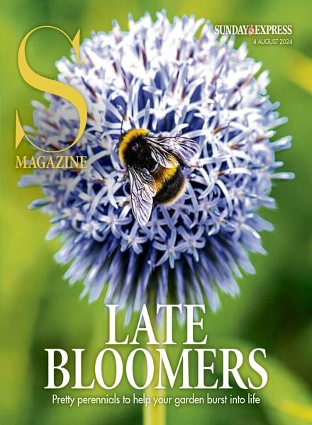 Sunday Express Sunday Magazine – 4 August 2024 Cover