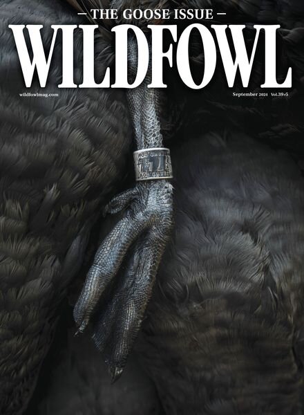 Wildfowl – September 2024 Cover