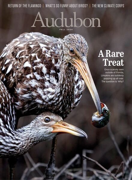 Audubon Magazine – Fall 2024 Cover