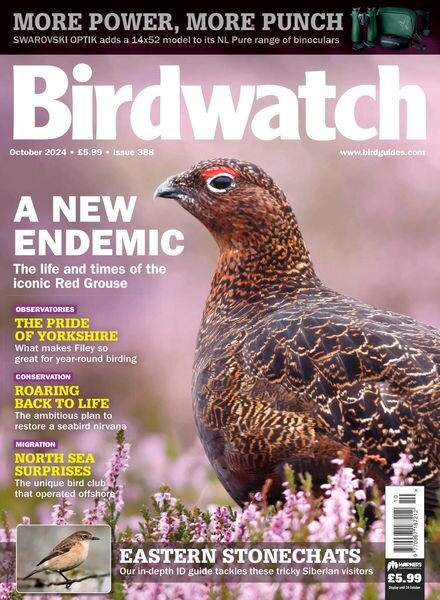 Birdwatch UK – October 2024 Cover