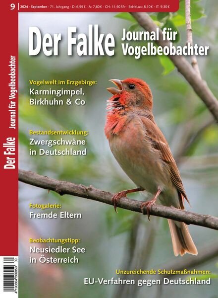 Der Falke Journal fur Vogelbeobachter – September 2024 Cover