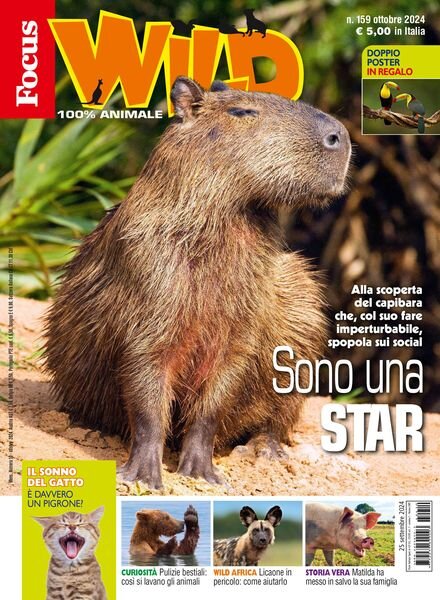 Focus Wild – Ottobre 2024 Cover