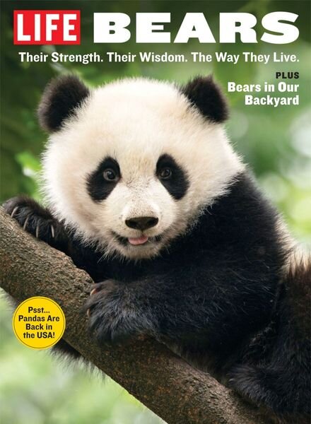 LIFE Bears – 2024 Cover