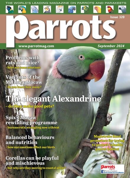 Parrots – September 2024 Cover