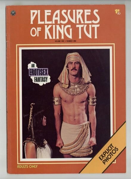 Pleasures of King Tut Cover