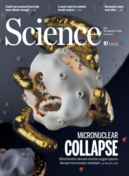 Science – 30 August 2024 Cover
