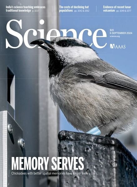 Science – 6 September 2024 Cover