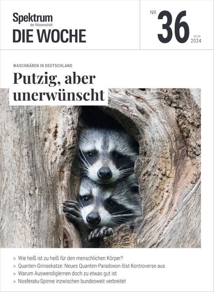 Spektrum Die Woche – 5 September 2024 Cover