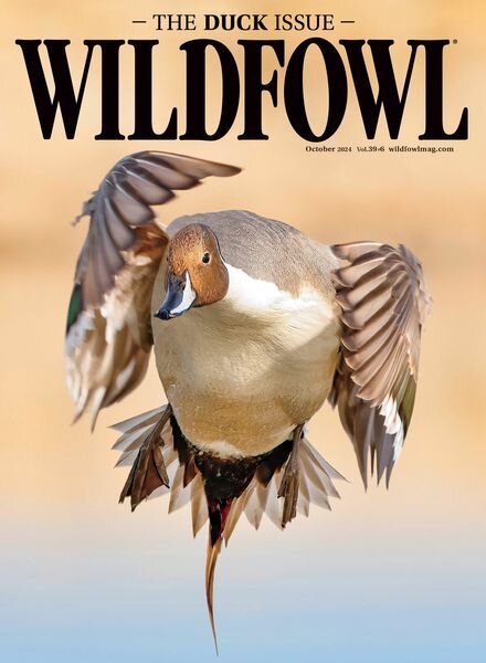Wildfowl – October 2024 Cover