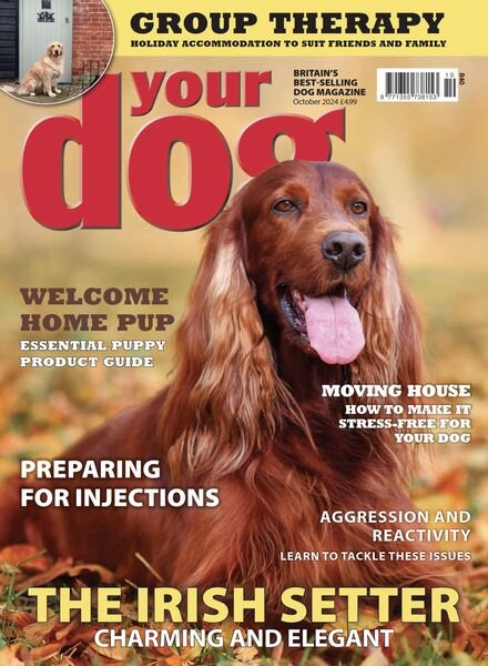 Your Dog – October 2024 Cover