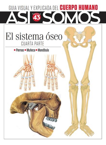 Asi Somos El cuerpo humano – Fasciculo 10 2024 Cover