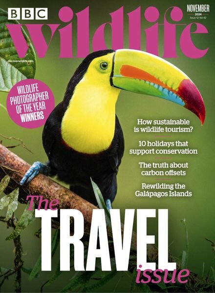 BBC Wildlife – November 2024 Cover