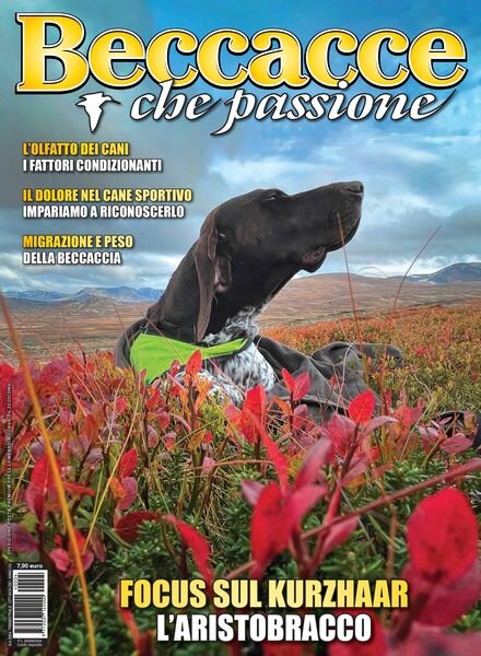 Beccacce Che Passione – Ottobre-Novembre-Dicembre 2024 Cover
