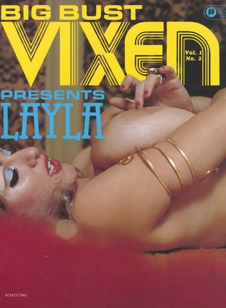 Big Bust Vixens – Volume 1 Number 2 1981 Cover