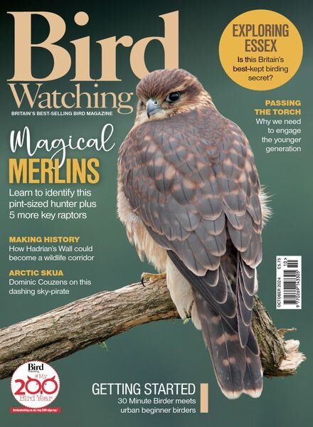 Bird Watching UK – October 2024 Cover