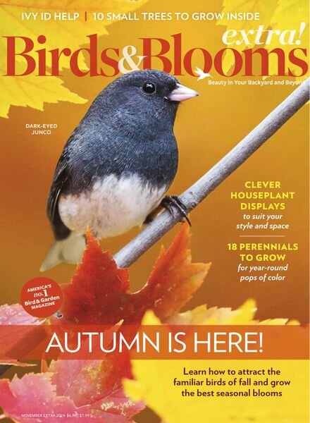 Birds and Blooms Extra – November 2024 Cover