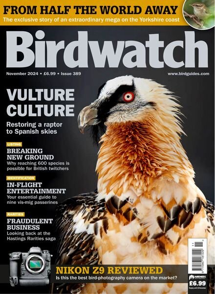 Birdwatch UK – November 2024 Cover