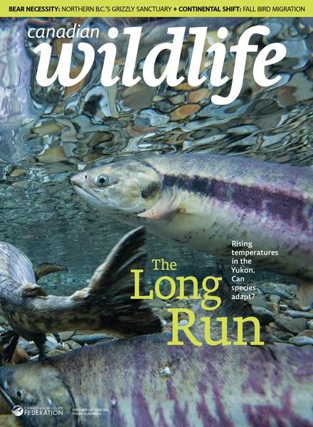 Canadian Wildlife – September-October 2024 Cover