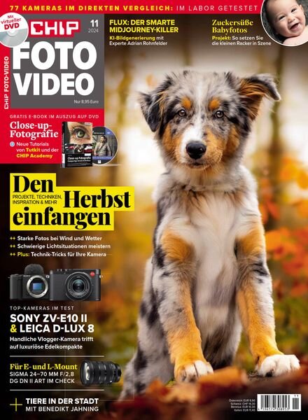 Chip Foto Video Germany – November 2024 Cover