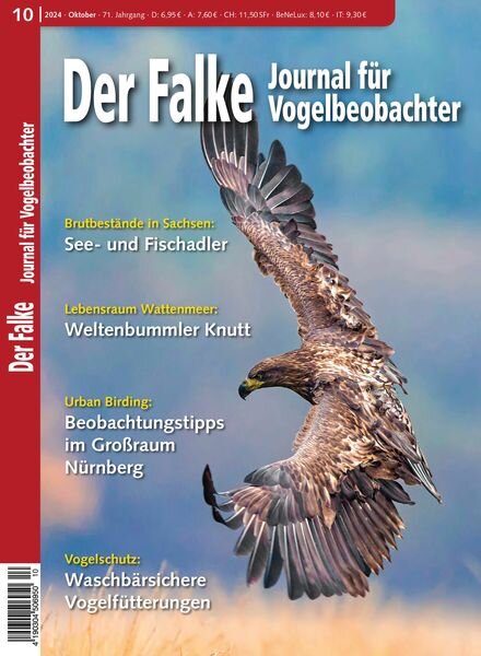 Der Falke Journal fur Vogelbeobachter – Oktober 2024 Cover