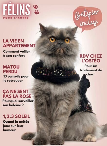 Felins pour l’autre – 28 Septembre 2024 Cover