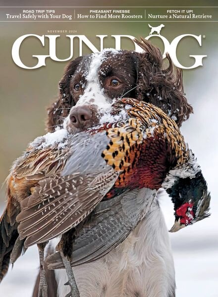 Gun Dog – November 2024 Cover
